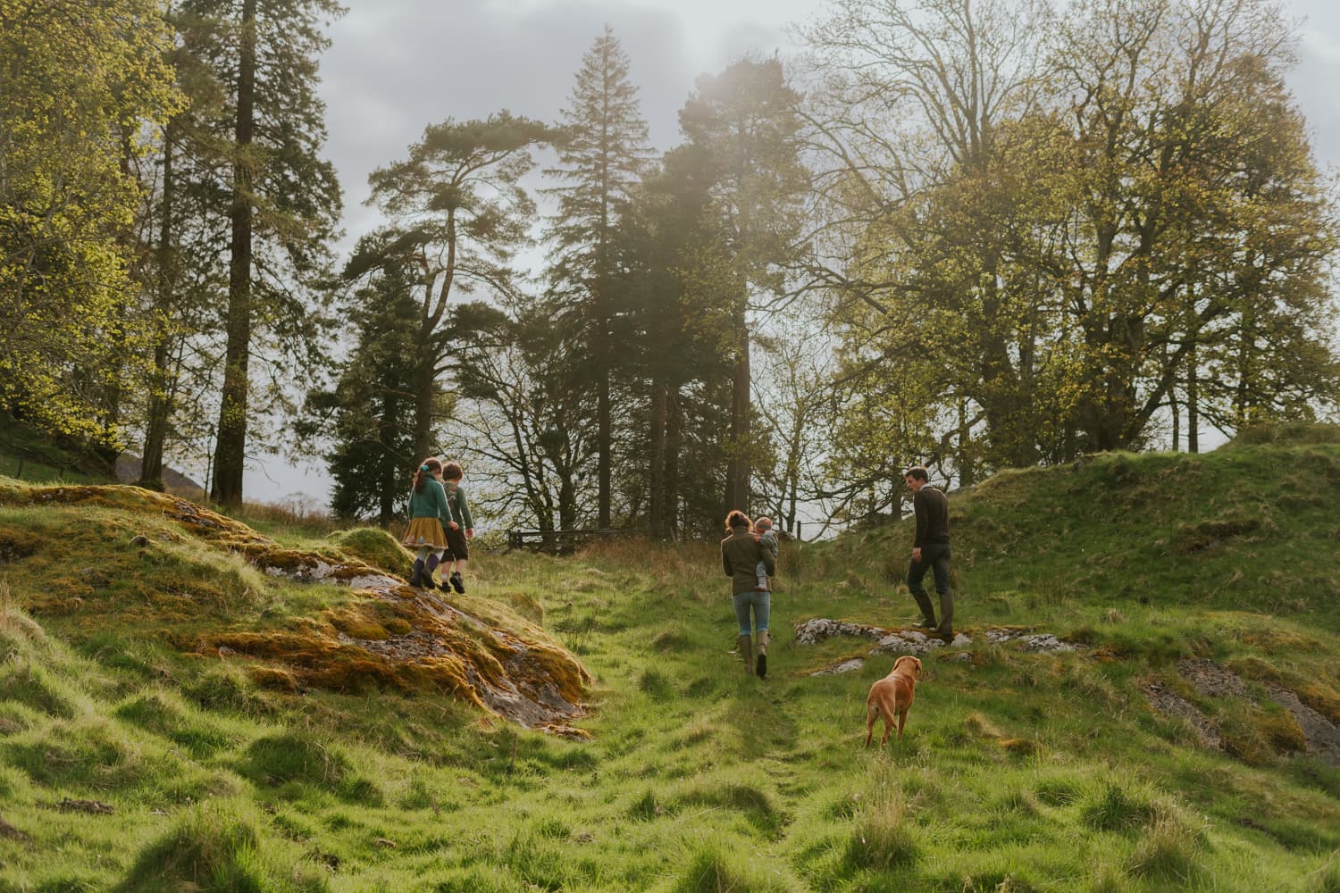 Discover Lassintullich House – stunning lodge in Highland Perthshire.