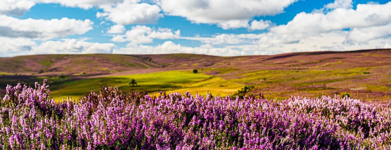 The Best Time to Visit the Scottish Highlands