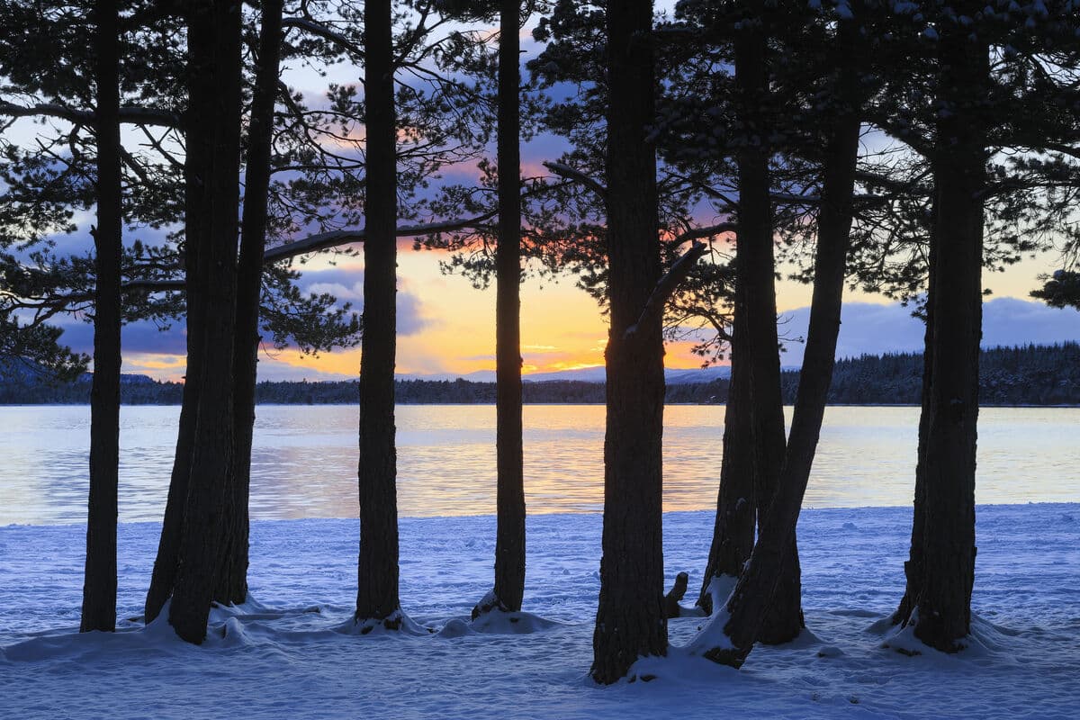 Lodges for New Year 2026