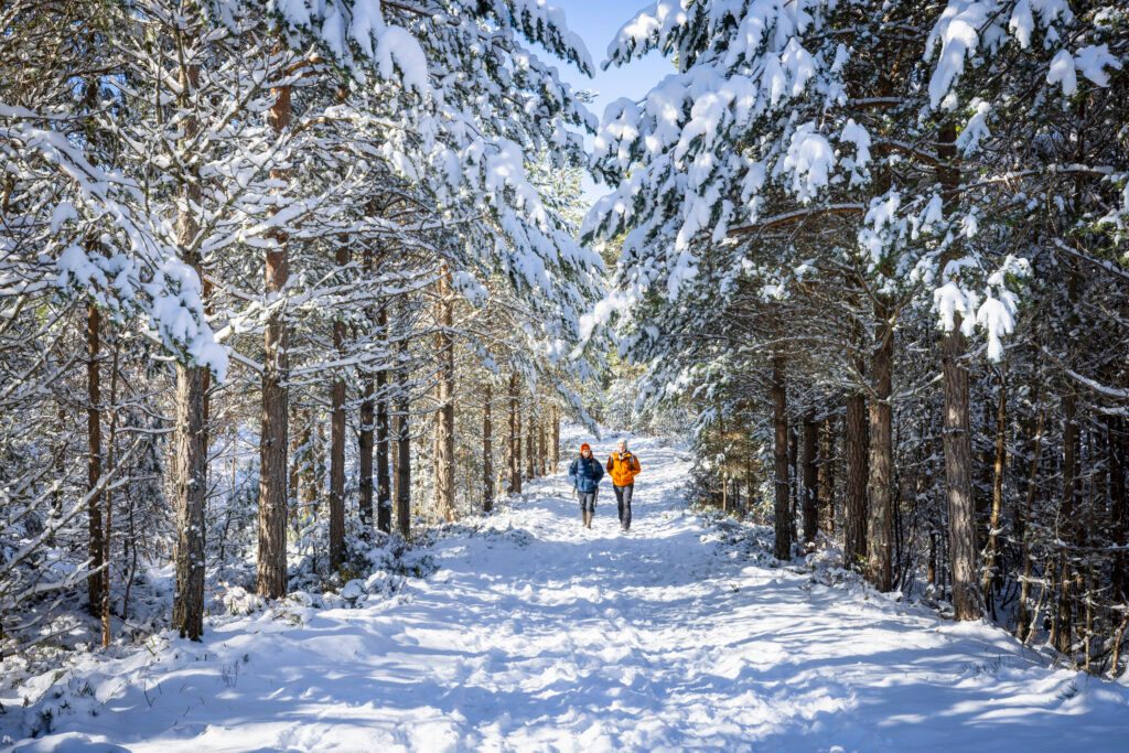 family friendly festive holidays in the highlands