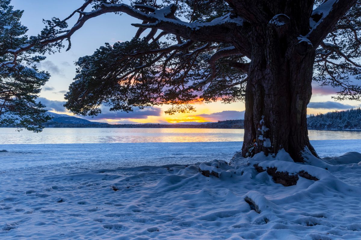 Highland winter escape