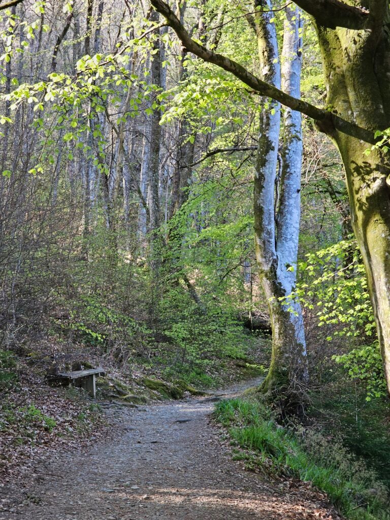Outdoor adventures around crieff