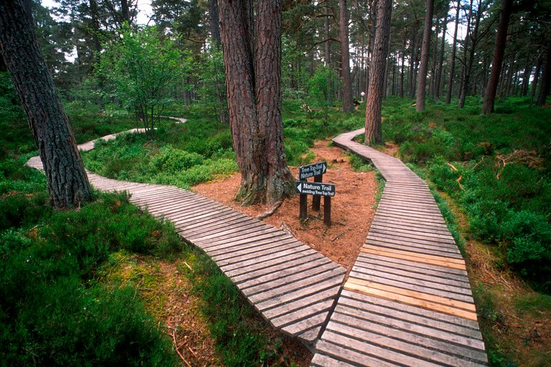 family days out in the Highlands