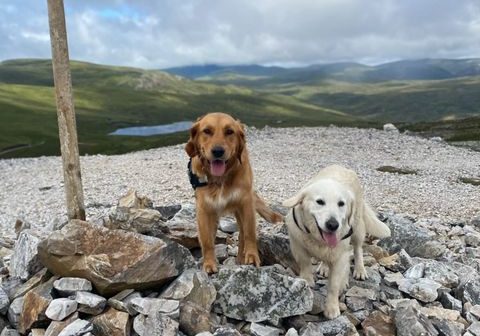 Pet friendly cottages, Cairngorms