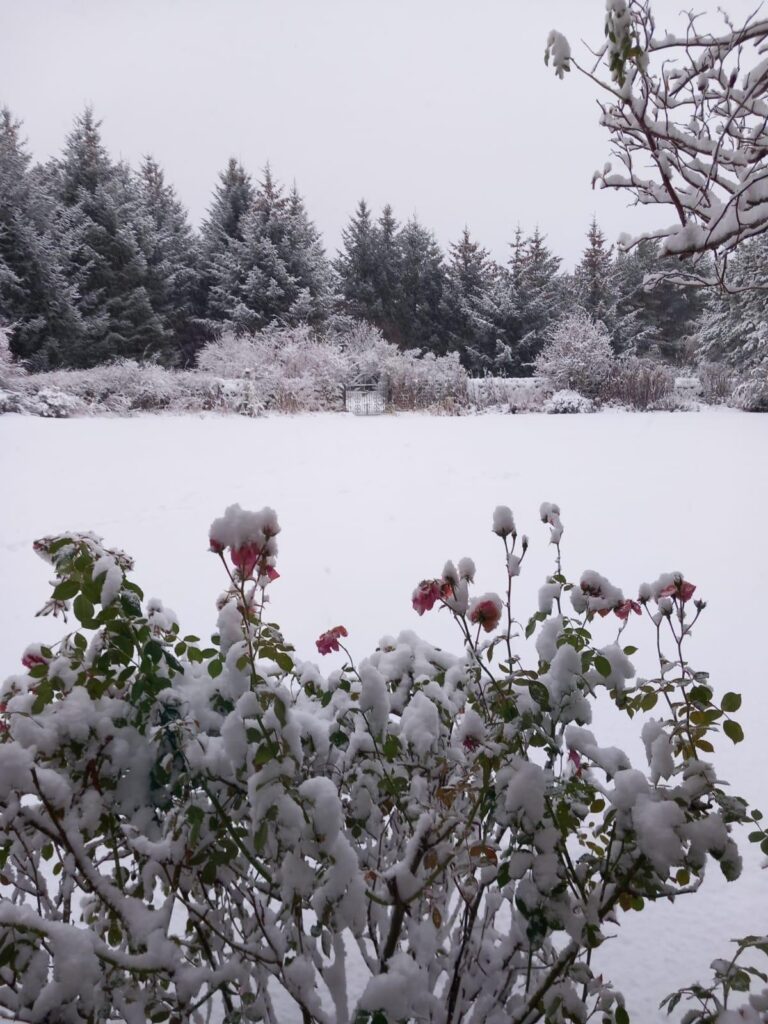 winter self catering scotland