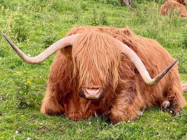 Spring in the Scottish Highlands