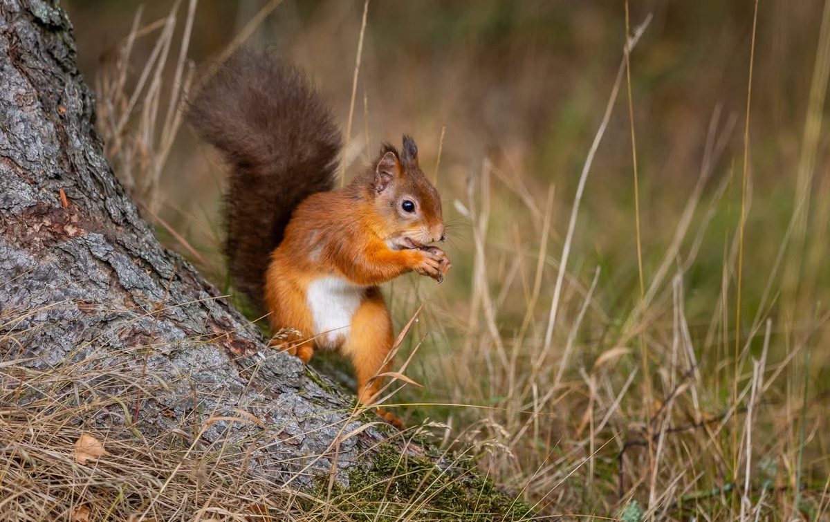 Family friendly self catering in the Cairngorms