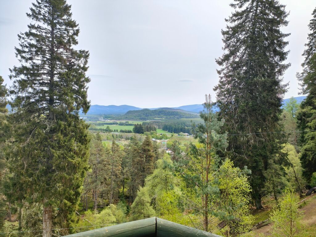 Discover Alvie estate activities