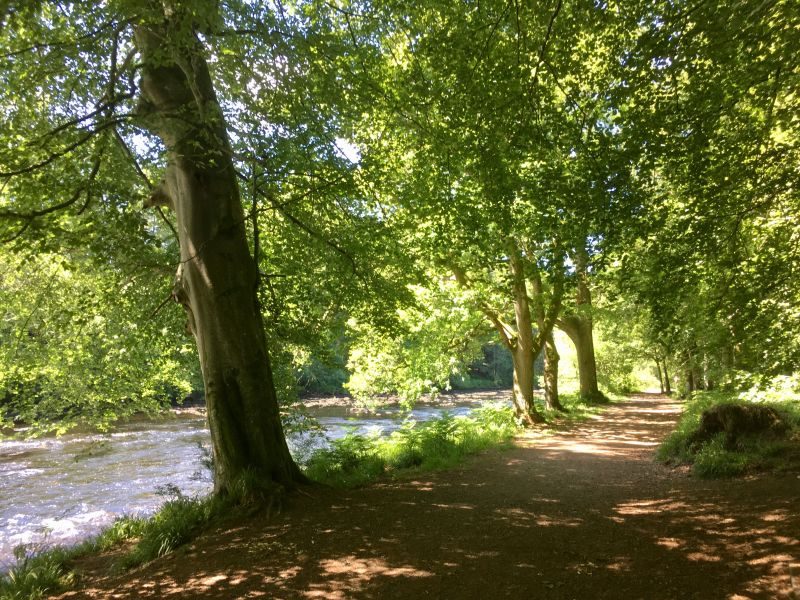 Places to stay with a dog in Scotland 