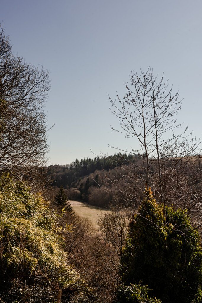 View over treetops from cottage in the Scottish Highlands.