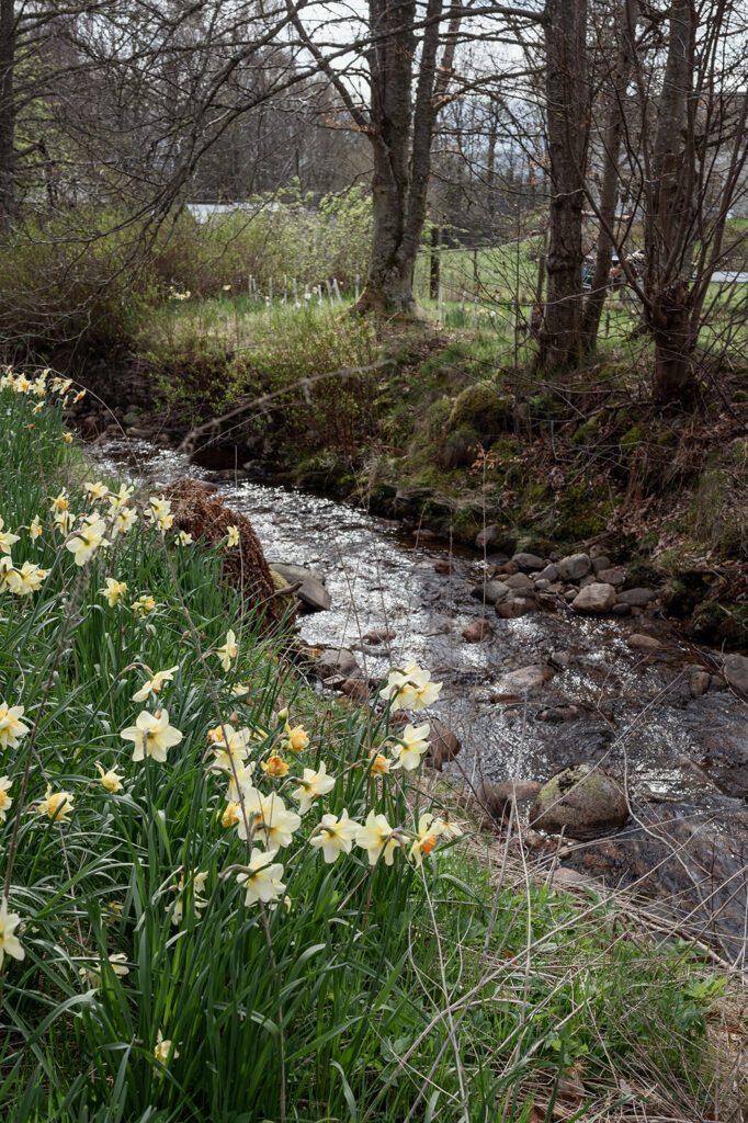 Selfcatering Accommodation Scotland